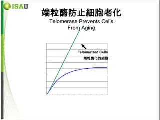 端粒酶防止細胞老化
                          Telomerase Prevents Cells
                                From Aging

                 80

                 70
                                                    Telomerized Cells
                 60
                                                         端粒酶化的細胞
Cell Doublings




                 50

                 40

                 30

                 20

                 10

                  0
                      0

                           10

                                20

                                     30

                                          40

                                               50

                                                    60

                                                         70

                                                              80

                                                                   90

                                               Days                     100
 