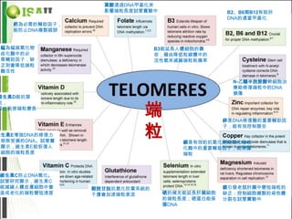 葉酸透過DNA甲基化來
                  影響端粒長度試管實驗中                  B2、B6和B12有助於
                                               DNA的適當甲基化
   鈣為必需的輔助因子，
   能防止DNA複製錯誤


 錳為錳超氧化物                       B3能延長人體細胞的壽
 歧化酶中的必                        命；藉由降低粒線體中的
 需輔助因子，缺                       活性氧來減緩端粒耗損率
 乏則會降低端粒
 酶活性

                                                N-乙醯半胱胺酸幹細胞治
                                                療能修復端粒中的DNA
                                                損傷
維生素D能抗發


                          端
炎，
因此能使端粒變長

                                              鋅是DNA修復酶的重要輔助因


                          粒
                                              子；能有效控制發炎
維生素E增強DNA的修復力
並移除受損的DNA。試管實                       銅是有效的抗氧化劑超氧化物歧
驗顯示，維生素E能恢復人                        化酶中的重要輔助因子，能保護
體細胞的端粒長度                            端粒



維生素C防止DNA氧化。
試管研究顯示，維生素C
能減緩人體皮膚細胞中會     穀胱甘肽抗氧化防禦系統的                  鎂引發老鼠肝臟中變短端粒的
造成老化的端粒變短速度     干擾會加速端粒衰退       硒的補充能延長肝臟細胞   缺乏；控制細胞複製的染色體
                                的端粒長度；硒蛋白能保   分裂在試管實驗中
                                護DNA
 