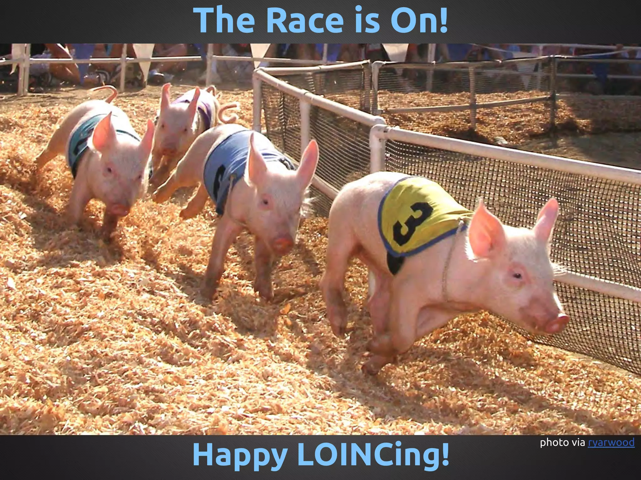 The Race is On!	




Happy LOINCing!	
                    photo via ryarwood	
 
