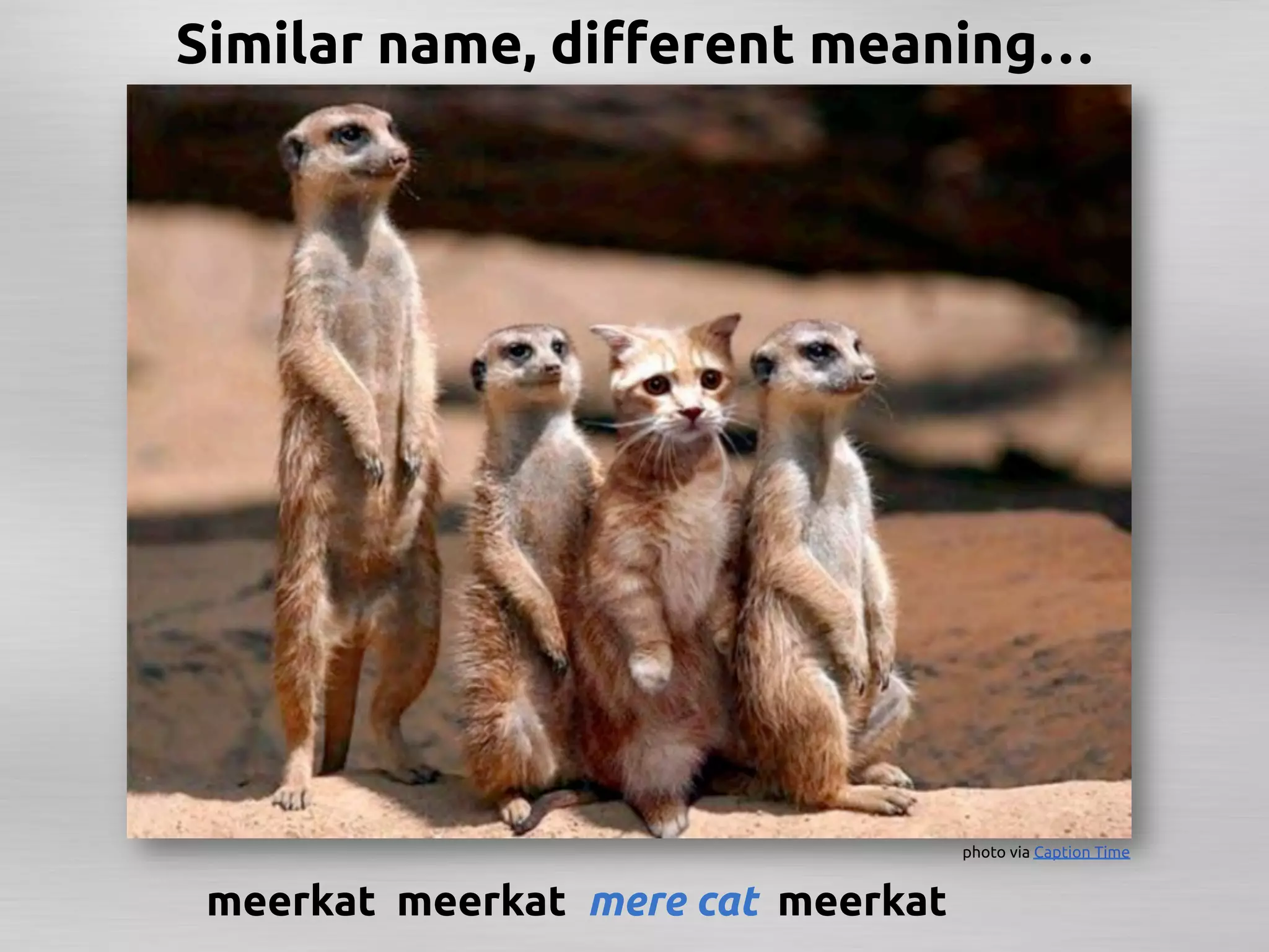 Similar name, diﬀerent meaning…	




                                            photo via Caption Time	


 meerkat	
 meerkat	
 mere cat	
 meerkat	
 