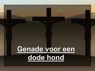 Genade voor een
  dode hond
 