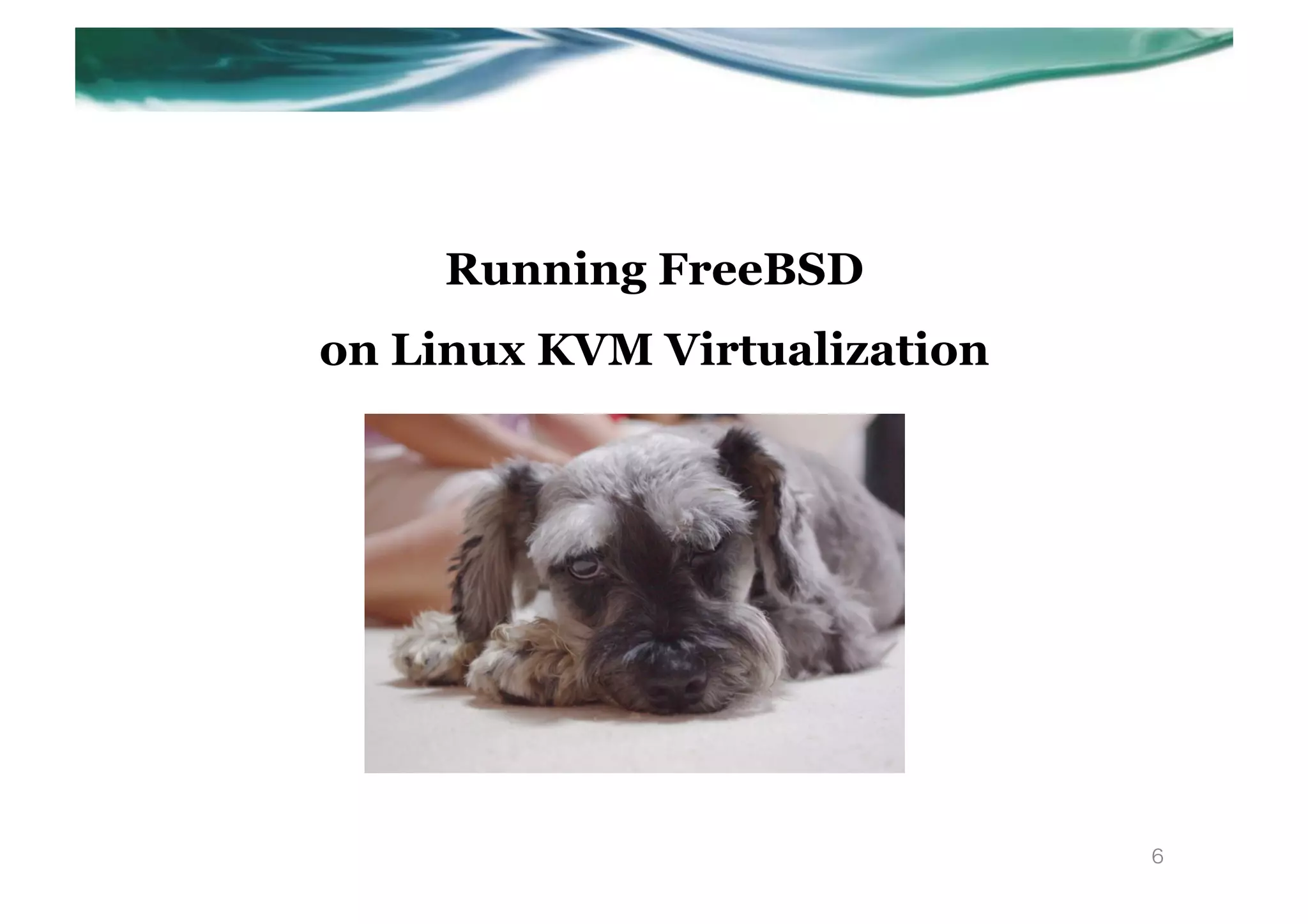 Running FreeBSD
on Linux KVM Virtualization




                              6
 