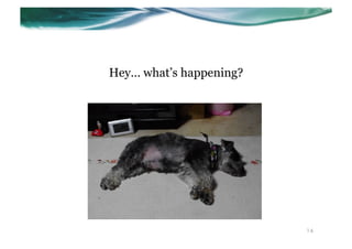 Hey… what’s happening?




                         14
 