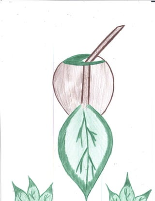 Artes