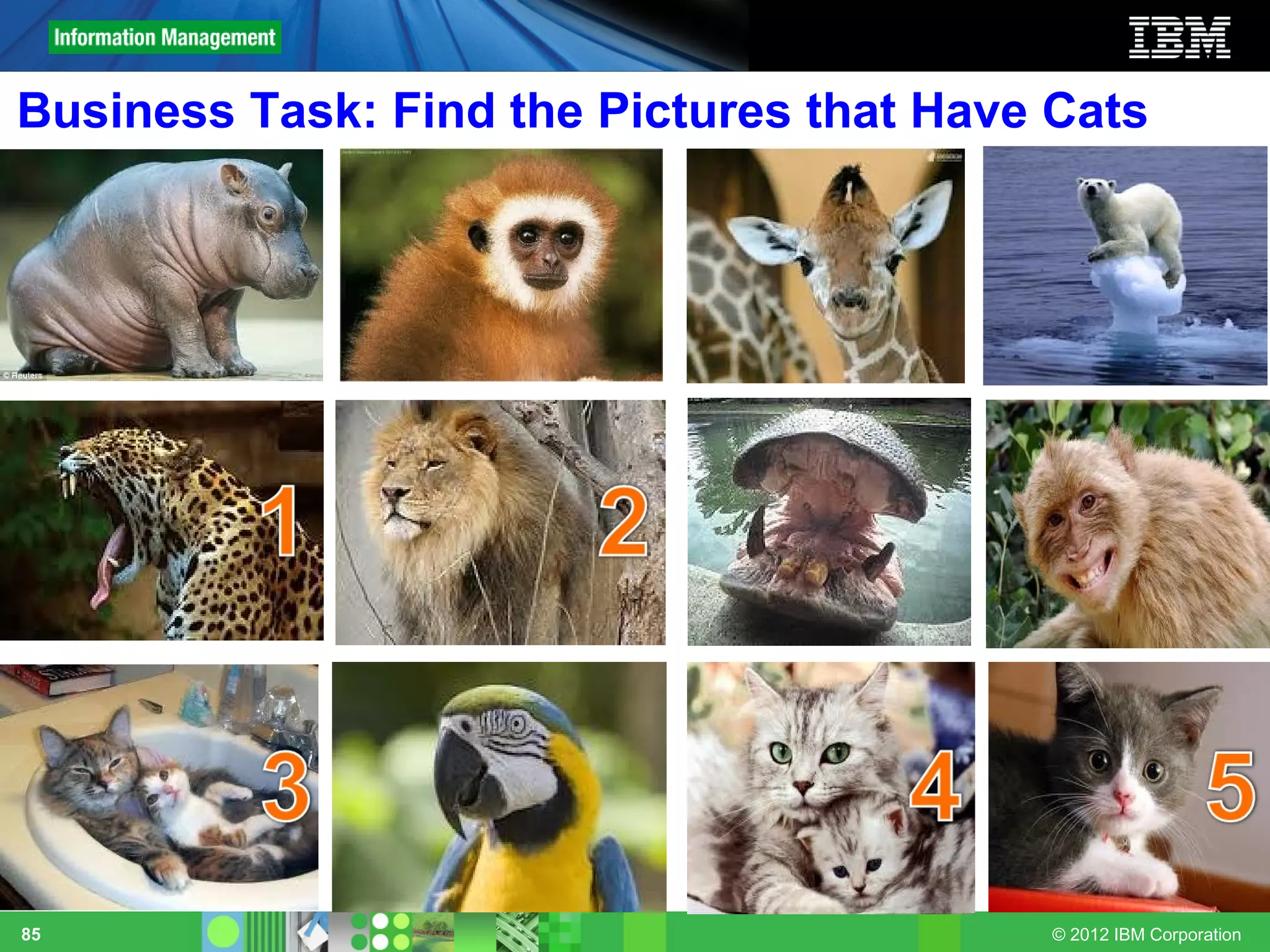 Business Task: Find the Pictures that Have Cats




85                                        © 2012 IBM Corporation
 