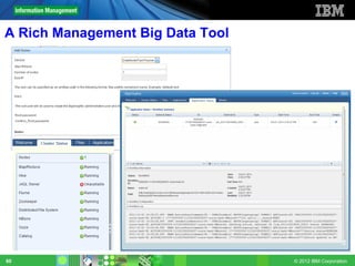 A Rich Management Big Data Tool




60                                © 2012 IBM Corporation
 