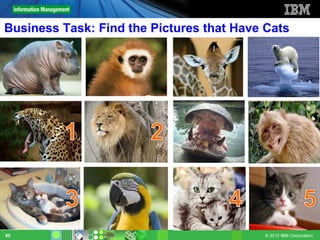 Business Task: Find the Pictures that Have Cats




85                                        © 2012 IBM Corporation
 