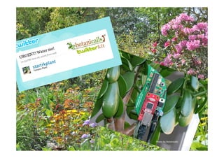 Photo by Botanicalls
 