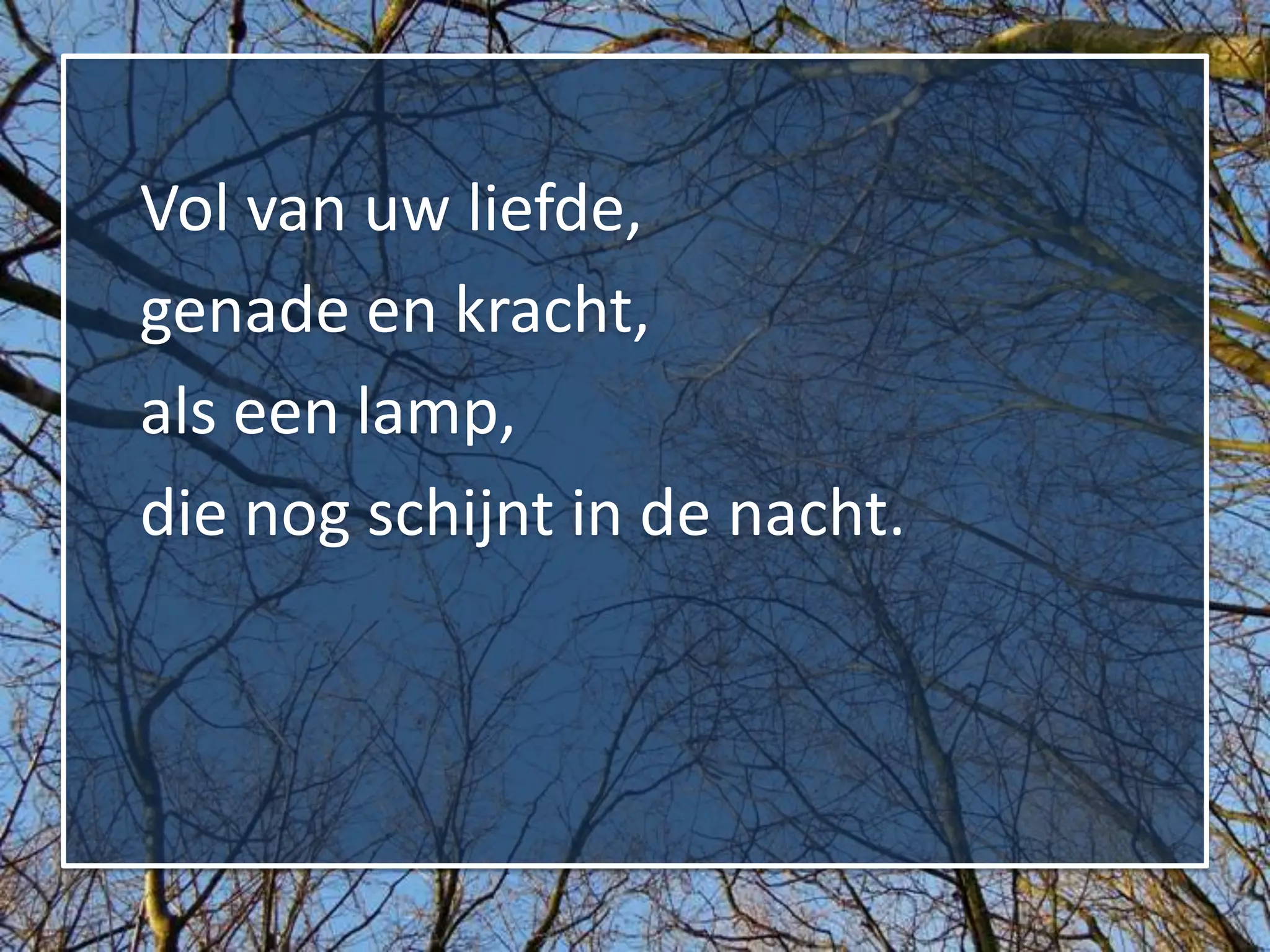 Vol van uw liefde,
genade en kracht,
als een lamp,
die nog schijnt in de nacht.
 