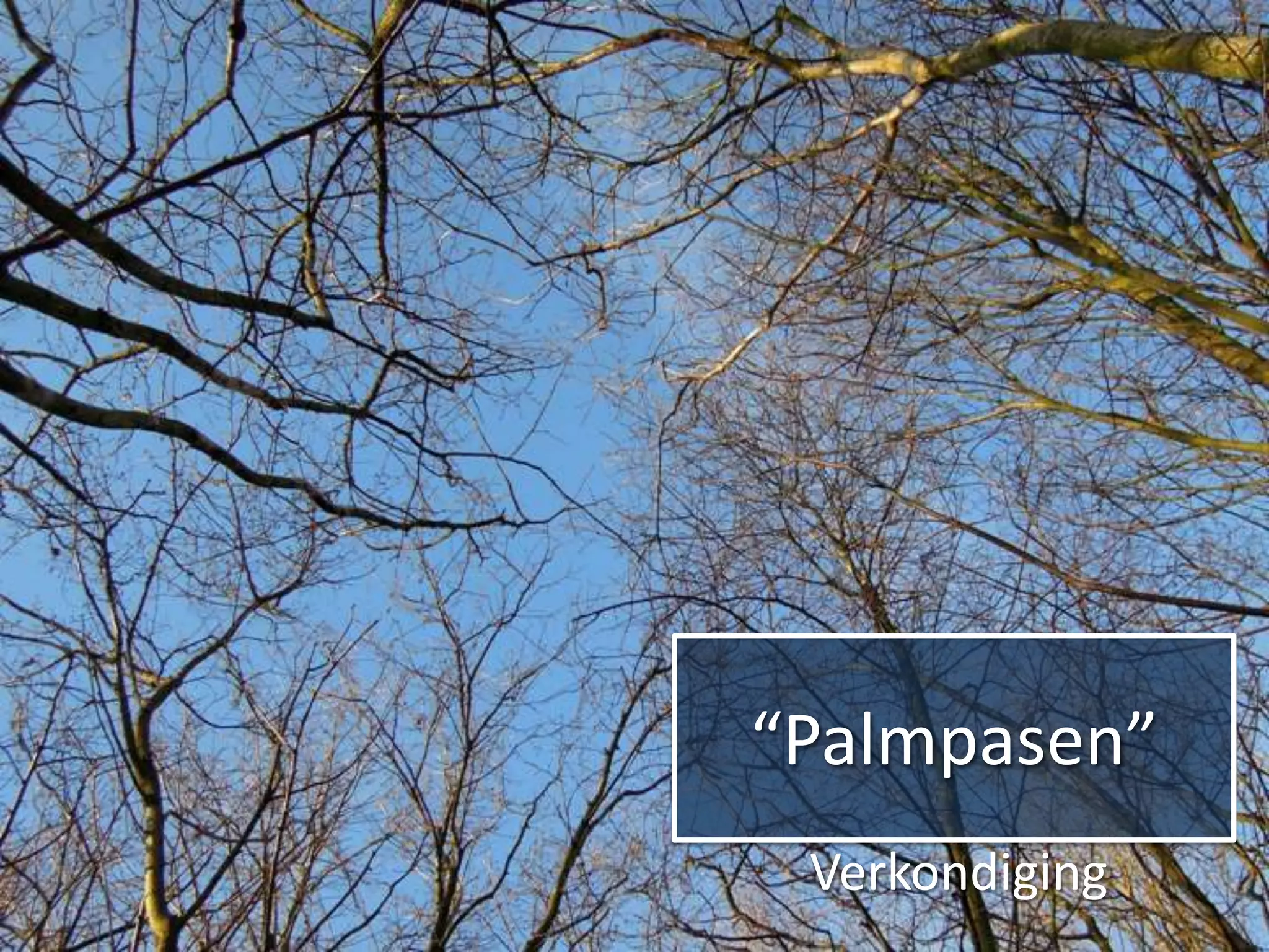 “Palmpasen”
 Verkondiging
 