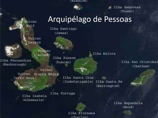 Arquipélago de Pessoas
 