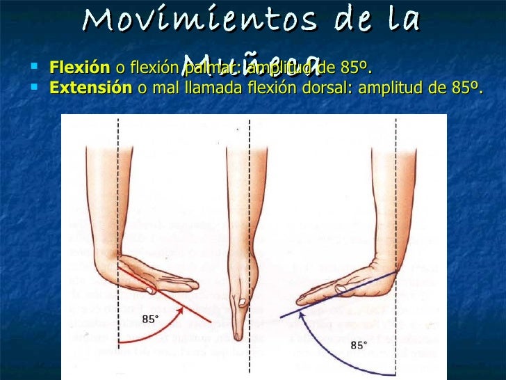 2012 04 11 Mano Y Mu eca patologia Y Exploraci n 2012-04-11-mano-y-mu-eca-patologia-y-exploraci-n