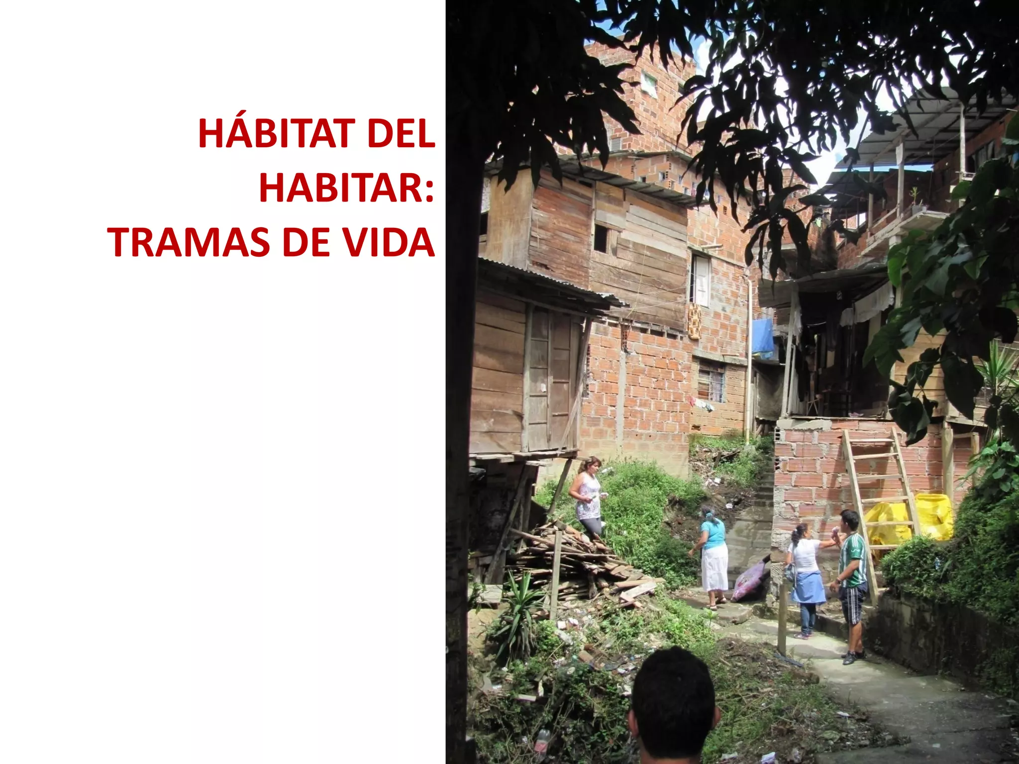 HÁBITAT DEL
     HABITAR:
TRAMAS DE VIDA
 