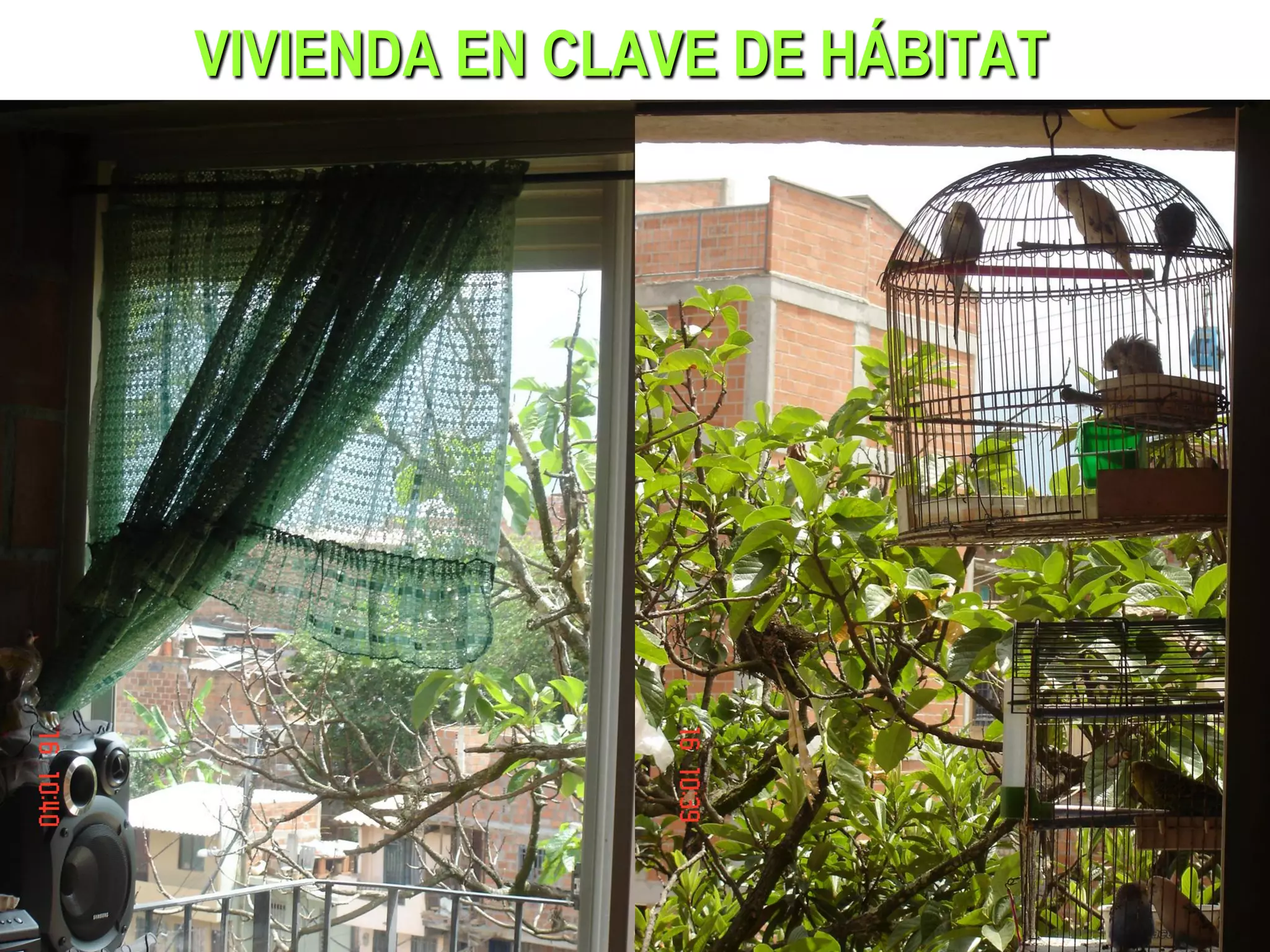 VIVIENDA EN CLAVE DE HÁBITAT
 