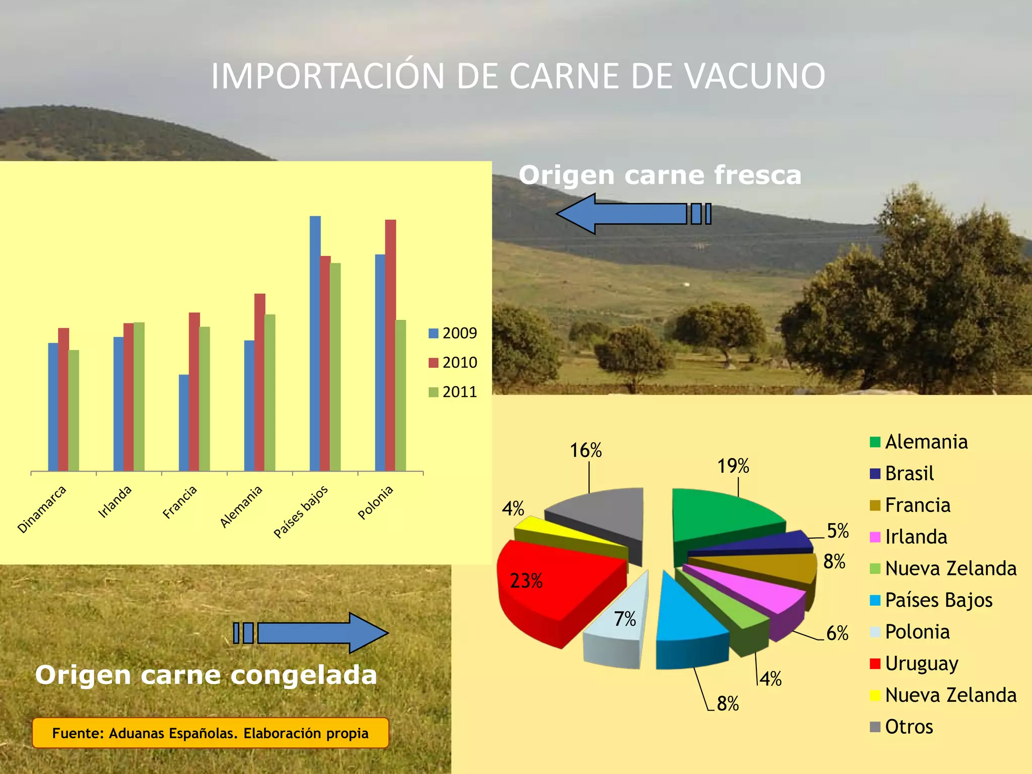 IMPORTACIÓN DE CARNE DE VACUNO
Fuente: Aduanas Españolas. Elaboración propia
19%
5%
8%
6%
4%
8%
7%
23%
4%
16% Alemania
Brasil
Francia
Irlanda
Nueva Zelanda
Países Bajos
Polonia
Uruguay
Nueva Zelanda
Otros
Origen carne fresca
Origen carne congelada
2009
2010
2011
 