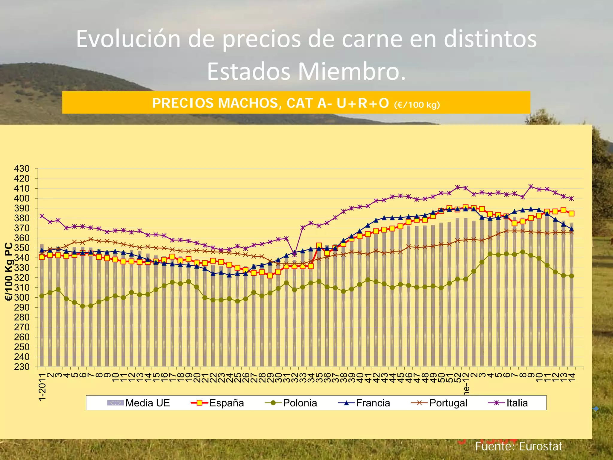 Evolución de precios de carne en distintos
Estados Miembro.
PRECIOS MACHOS, CAT A- U+R+O (€/100 kg)
2007 2008
Fuente: Eurostat
230
240
250
260
270
280
290
300
310
320
330
340
350
360
370
380
390
400
410
420
430
1-2011
2
3
4
5
6
7
8
9
10
11
12
13
14
15
16
17
18
19
20
21
22
23
24
25
26
27
28
29
30
31
32
33
34
35
36
37
38
39
40
41
42
43
44
45
46
47
48
49
50
51
52
ene-12
2
3
4
5
6
7
8
9
10
11
12
13
14
€/100KgPC
Media UE España Polonia Francia Portugal Italia
 