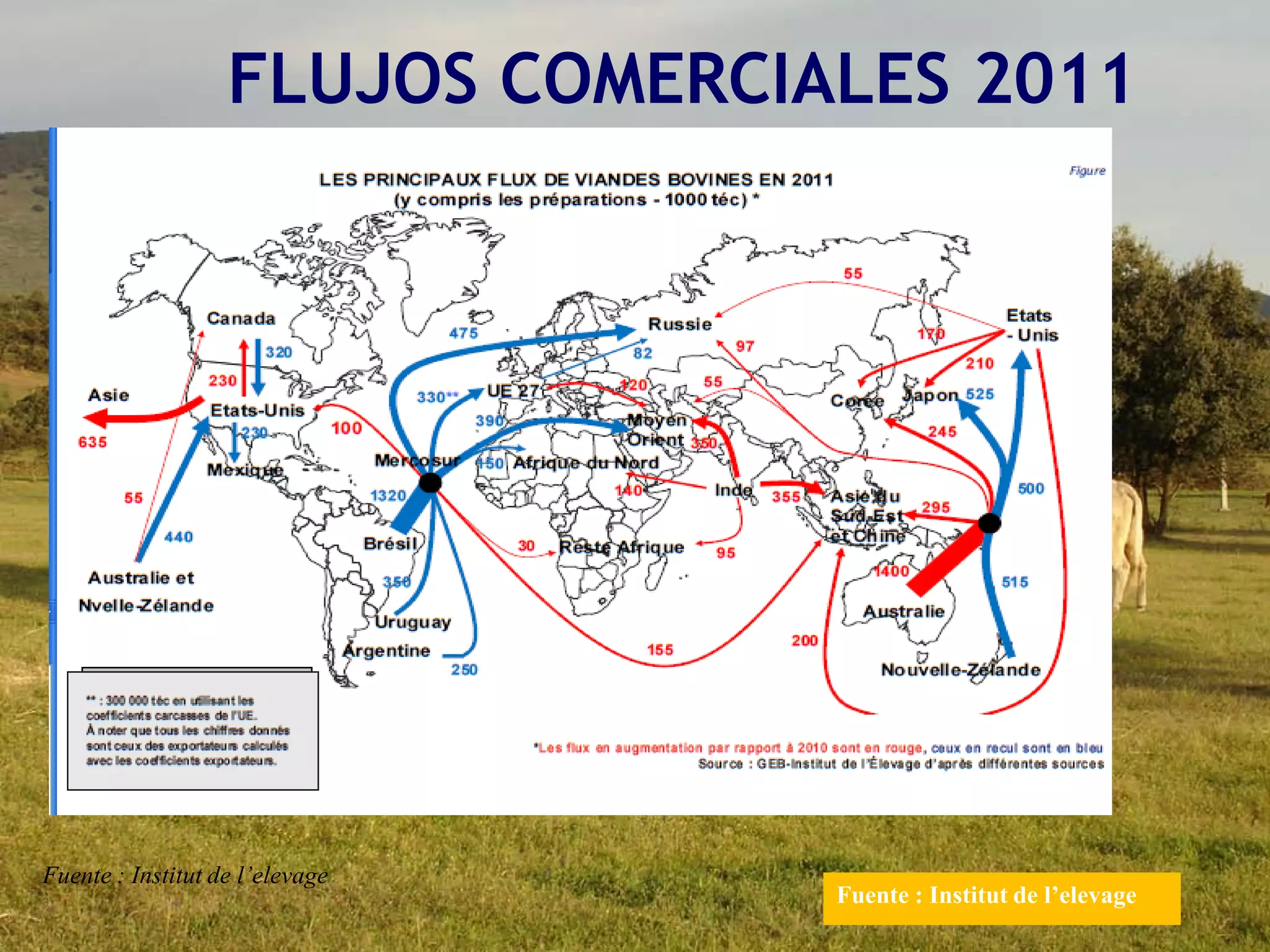 FLUJOS COMERCIALES 2011
Fuente : Institut de l’elevage
Fuente : Institut de l’elevage
 