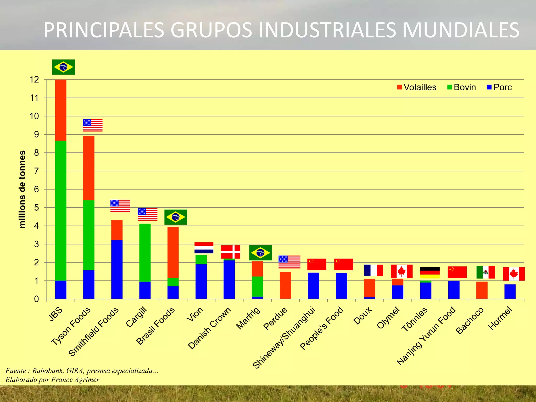 0
1
2
3
4
5
6
7
8
9
10
11
12
millionsdetonnes
Volailles Bovin Porc
Fuente : Rabobank, GIRA, presnsa especializada…
Elaborado por France Agrimer
PRINCIPALES GRUPOS INDUSTRIALES MUNDIALES
 