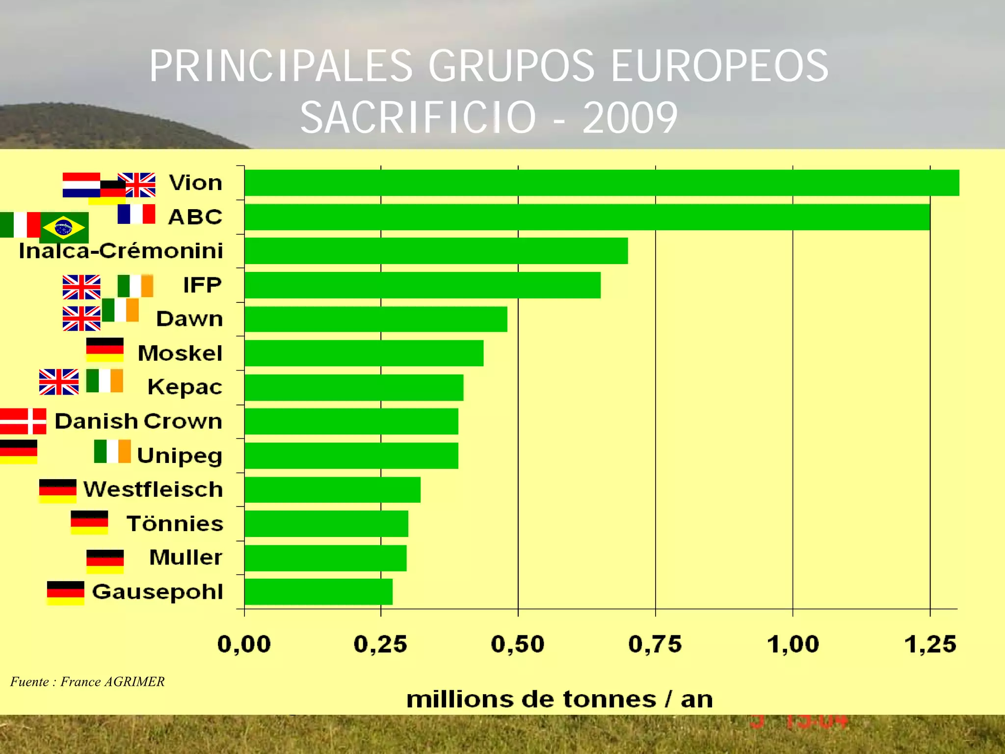 PRINCIPALES GRUPOS EUROPEOS
SACRIFICIO - 2009
Fuente: France Agrimer
Fuente : France AGRIMER
 