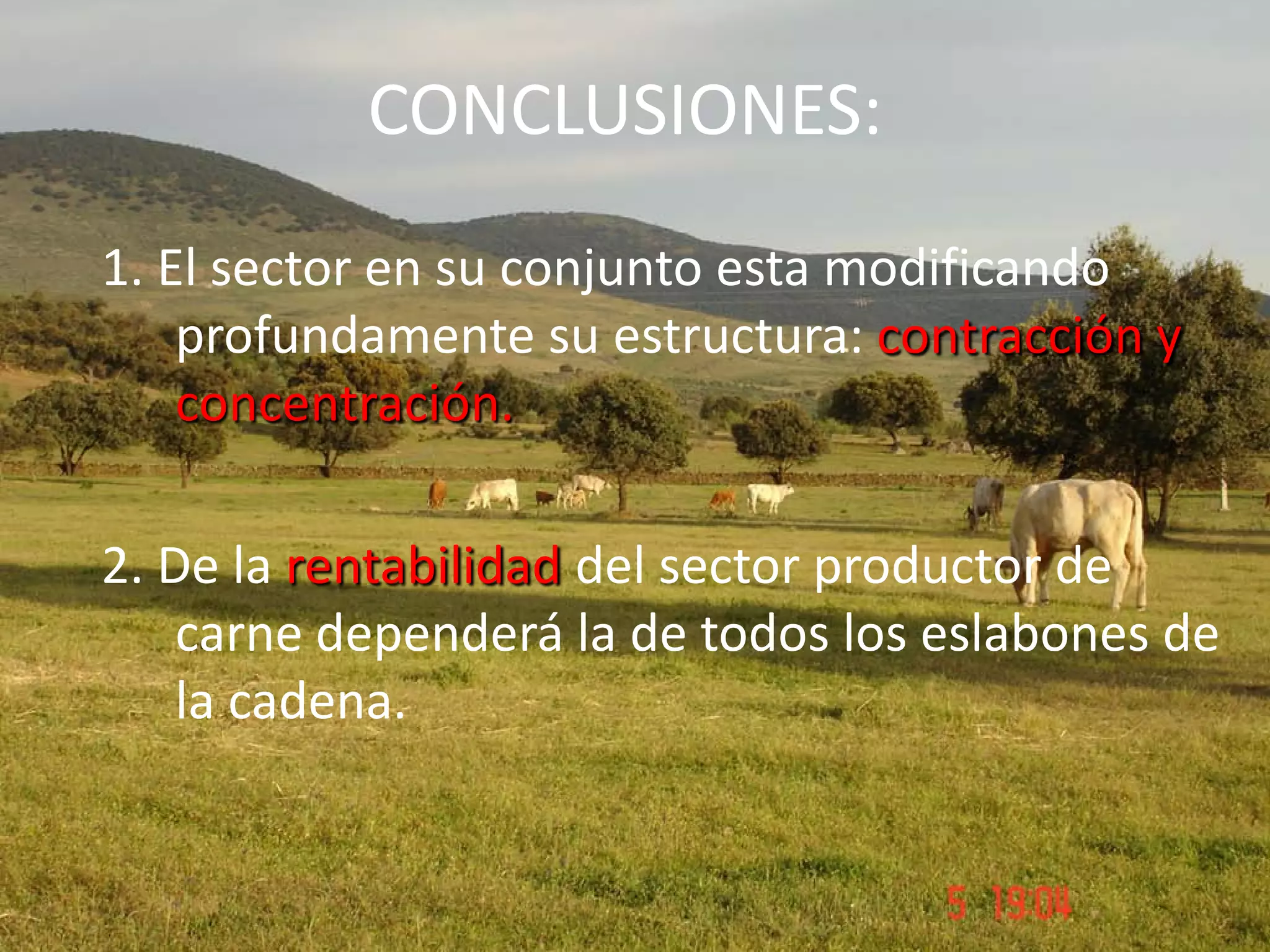 CONCLUSIONES:
1. El sector en su conjunto esta modificando
profundamente su estructura: contracción y
concentración.
2. De la rentabilidad del sector productor de
carne dependerá la de todos los eslabones de
la cadena.
 