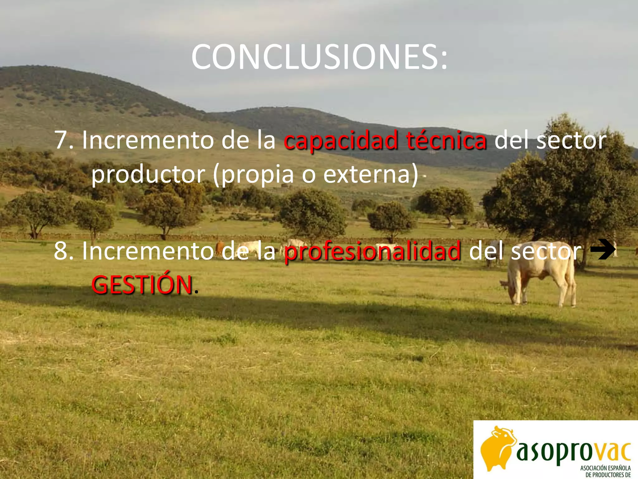 CONCLUSIONES:
7. Incremento de la capacidad técnica del sector
productor (propia o externa)
8. Incremento de la profesionalidad del sector 
GESTIÓN.
 