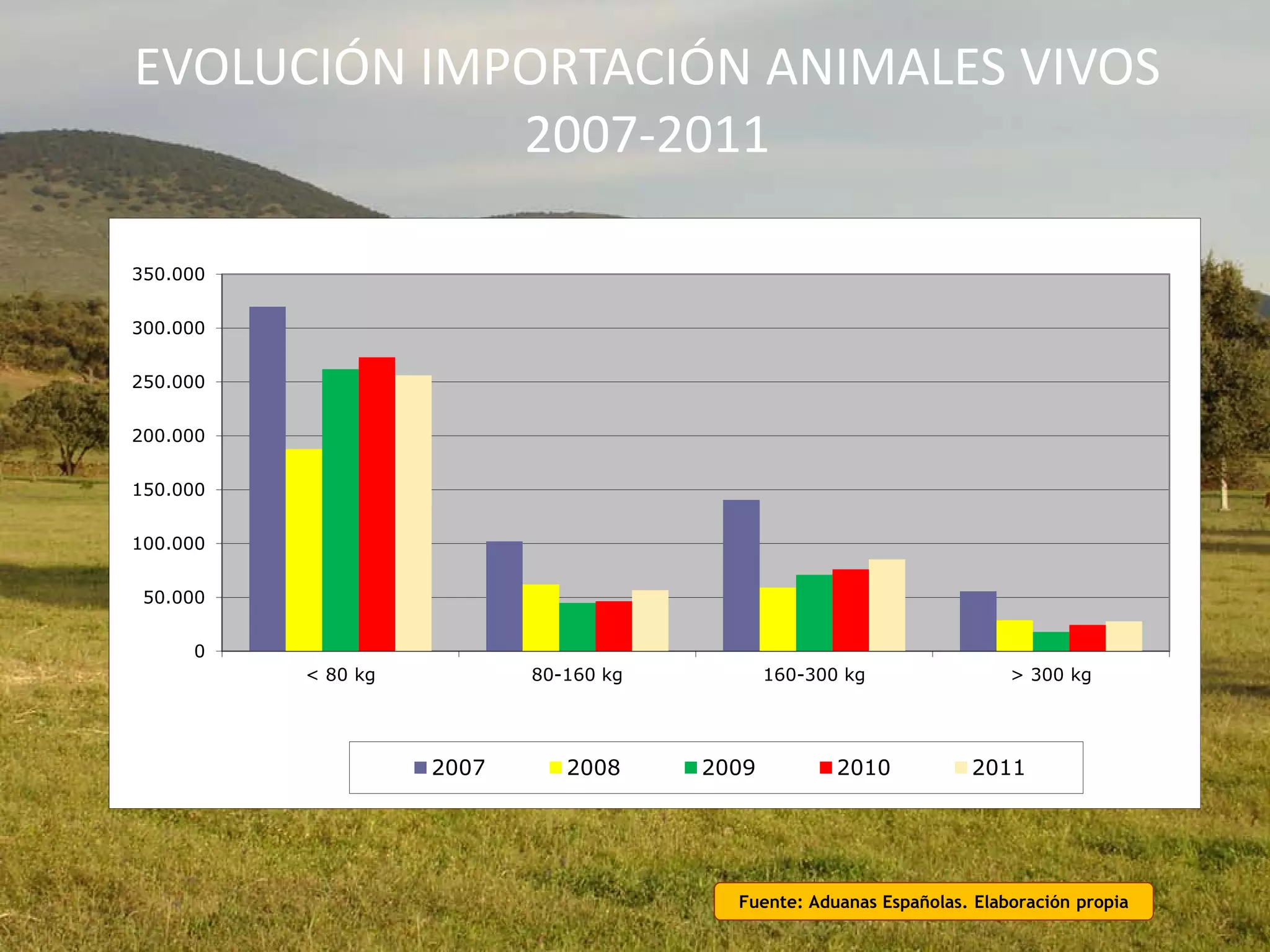 EVOLUCIÓN IMPORTACIÓN ANIMALES VIVOS
2007-2011
Fuente: Aduanas Españolas. Elaboración propia
0
50.000
100.000
150.000
200.000
250.000
300.000
350.000
< 80 kg 80-160 kg 160-300 kg > 300 kg
2007 2008 2009 2010 2011
 