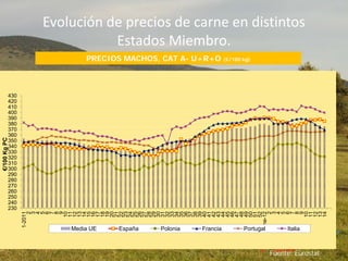 Evolución de precios de carne en distintos
Estados Miembro.
PRECIOS MACHOS, CAT A- U+R+O (€/100 kg)
2007 2008
Fuente: Eurostat
230
240
250
260
270
280
290
300
310
320
330
340
350
360
370
380
390
400
410
420
430
1-2011
2
3
4
5
6
7
8
9
10
11
12
13
14
15
16
17
18
19
20
21
22
23
24
25
26
27
28
29
30
31
32
33
34
35
36
37
38
39
40
41
42
43
44
45
46
47
48
49
50
51
52
ene-12
2
3
4
5
6
7
8
9
10
11
12
13
14
€/100KgPC
Media UE España Polonia Francia Portugal Italia
 