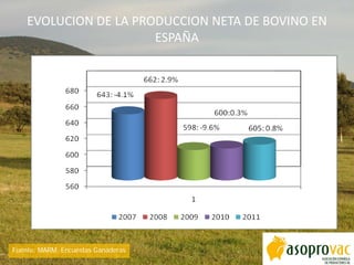 EVOLUCION DE LA PRODUCCION NETA DE BOVINO EN
ESPAÑA
-1,9 %
-6,3 %
Fuente: MARM. Encuestas Ganaderas
 