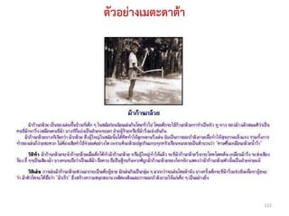 ตัวอย่างเมตะดาต้า




                    122
 