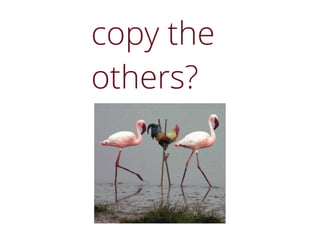 Muziek & Beeld op de winkelvloer: wat werkt nu echt?