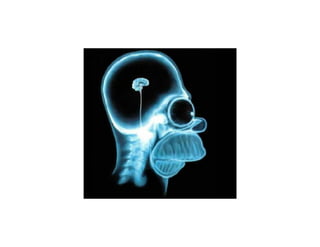 Muziek & Beeld op de winkelvloer: wat werkt nu echt?