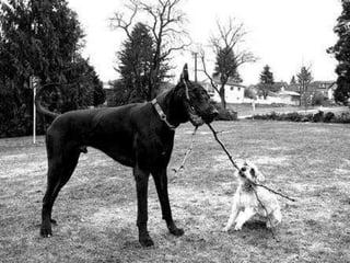 Rapid Rapport SVALN 2012-04   Slide Deck: © 2012 B. Maloney   22
 