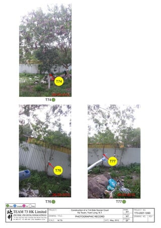 20120503 tree survey report