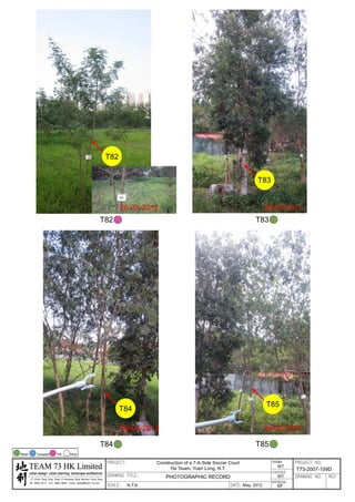 20120503 tree survey report
