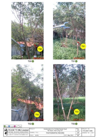 20120503 tree survey report