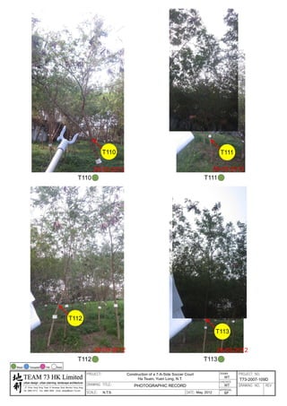 20120503 tree survey report