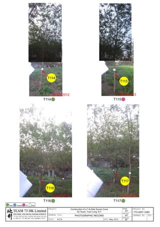 20120503 tree survey report
