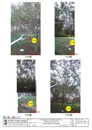 20120503 tree survey report