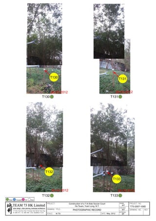 20120503 tree survey report