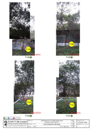 20120503 tree survey report