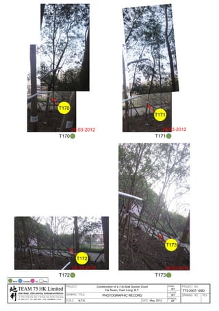 20120503 tree survey report