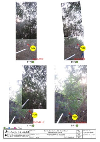 20120503 tree survey report