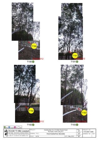 20120503 tree survey report