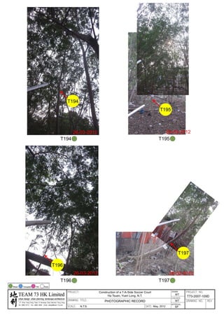 20120503 tree survey report
