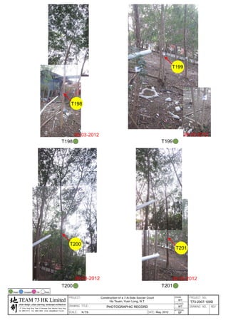 20120503 tree survey report