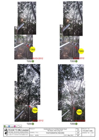 20120503 tree survey report