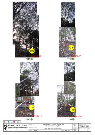 20120503 tree survey report