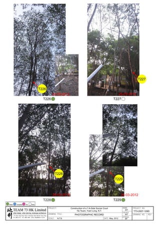 20120503 tree survey report
