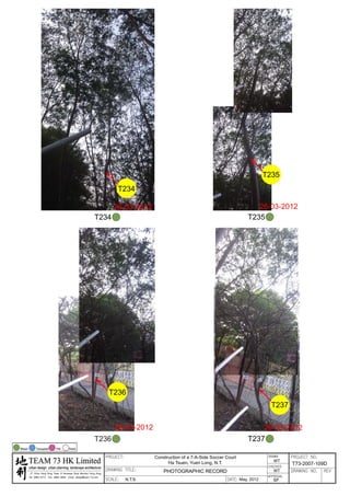 20120503 tree survey report