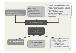 •Homme jeune
•Tabac, prise de toxiques
• Syndrome pneumo-rénal « nu »
• Age ≥50 ans
• Phase prodromale
• Signes ORL
• Signes neurologiques
• Signes cutanés
1. Femme jeune, photosensibilité, signes
cutanéo-muqueux, arthralgies, cytopénies
2. Purpura, Signes abdominaux, hématurie
macroscopique
3. VHC, Sjögren, Lymphome,
polyneuropathie, purpura
4. Valvulopathie, souffle, mauvais état
bucco-dentaire
GNEC à dépôts granuleux :
1. Lupus systémique
2. Néphropathie IgA
3. Cryoglobulinémie
4. Post infectieux, endocardite
GNEC pauci-immune
= vascularites associées aux
ANCA
GNEC à dépôts linéaires
= Sd de Goodpasture
+/- PBR
Immunofluorescence
BILAN IMMUNOLOGIQUE
 